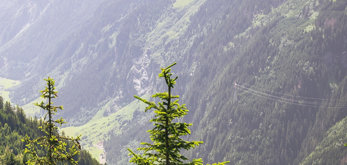 Marktmeldungen und Regulierung